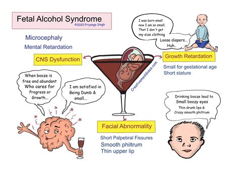 Can a father's drinking contribute to fetal alcohol syndrome?